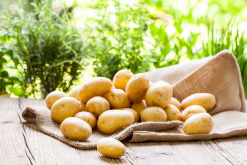 shutterstock_201281399